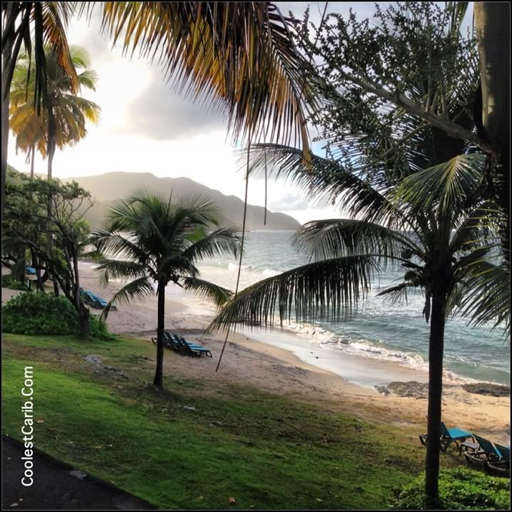 coolestCarib.com Caribbean Directory
