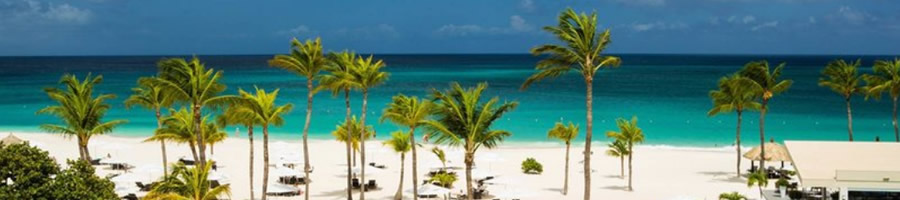 Aruba CoolestCarib Caribbean Island