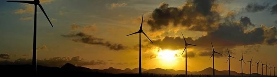 The Caribbean Shows the Way to a Renewable Future