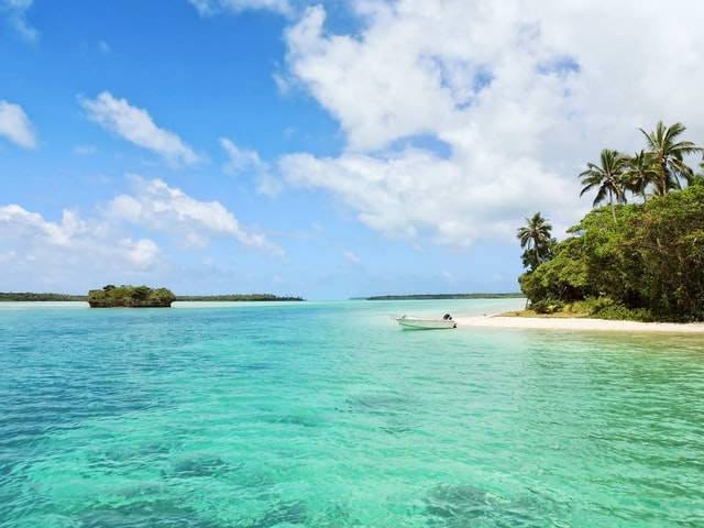 A tropical beach.