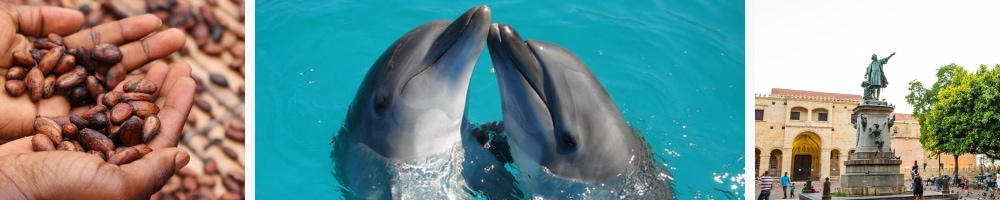 Dominican Republic activities: Dolphins