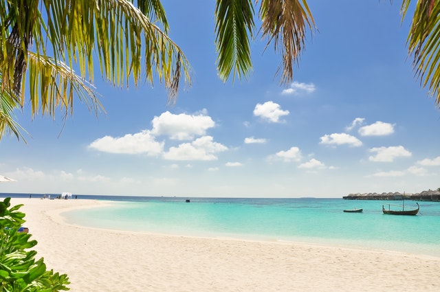 A Caribbean Beach