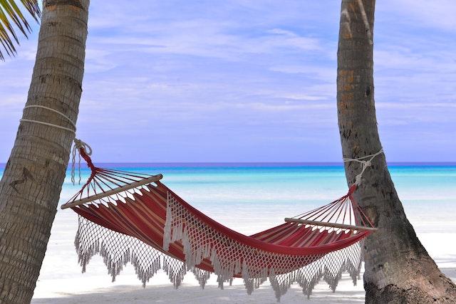 A red hammock tied between two palm trees