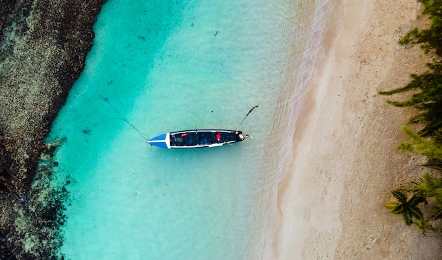 bird view of a Jamaican beach