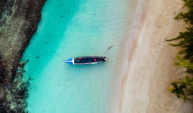 bird view of a Jamaican beach   
