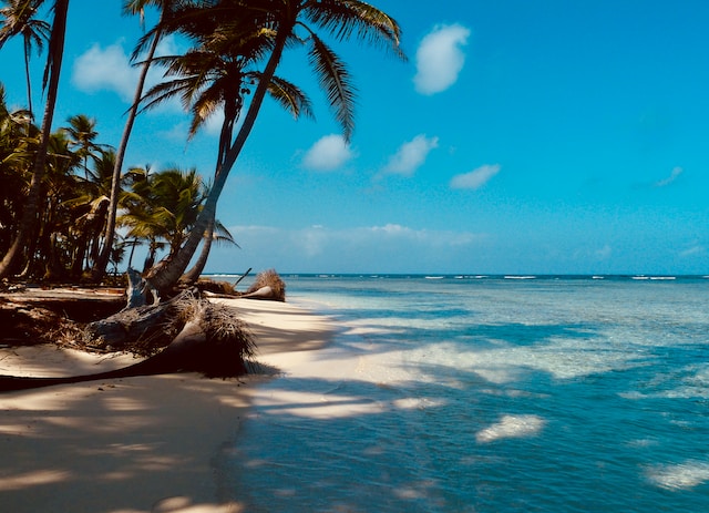 Sunbeds on the Caribbean beach 