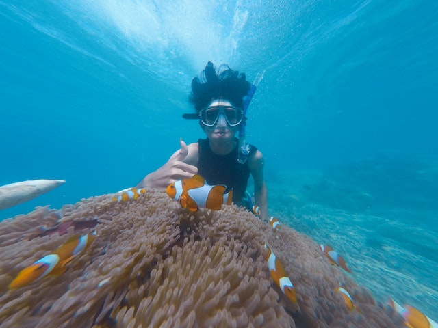 Woman snorkeling. 