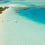 Say ‘I Do’ in Paradise: Create Everlasting Memories with Caribbean Island Wedding Services