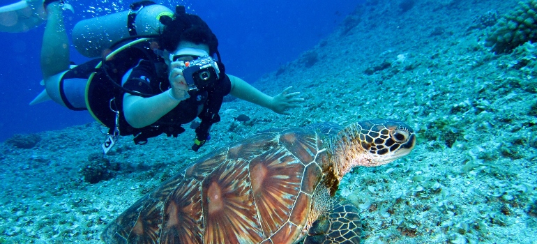 Person photographing a turtle while scuba diving.  