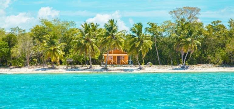 A small Caribbean beach house surrounded by palm trees.