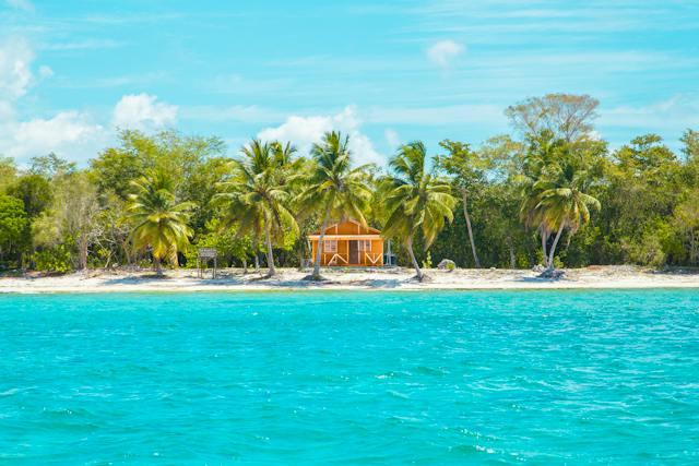 House among the palm trees on a tropical beach - Caribbean Living!
