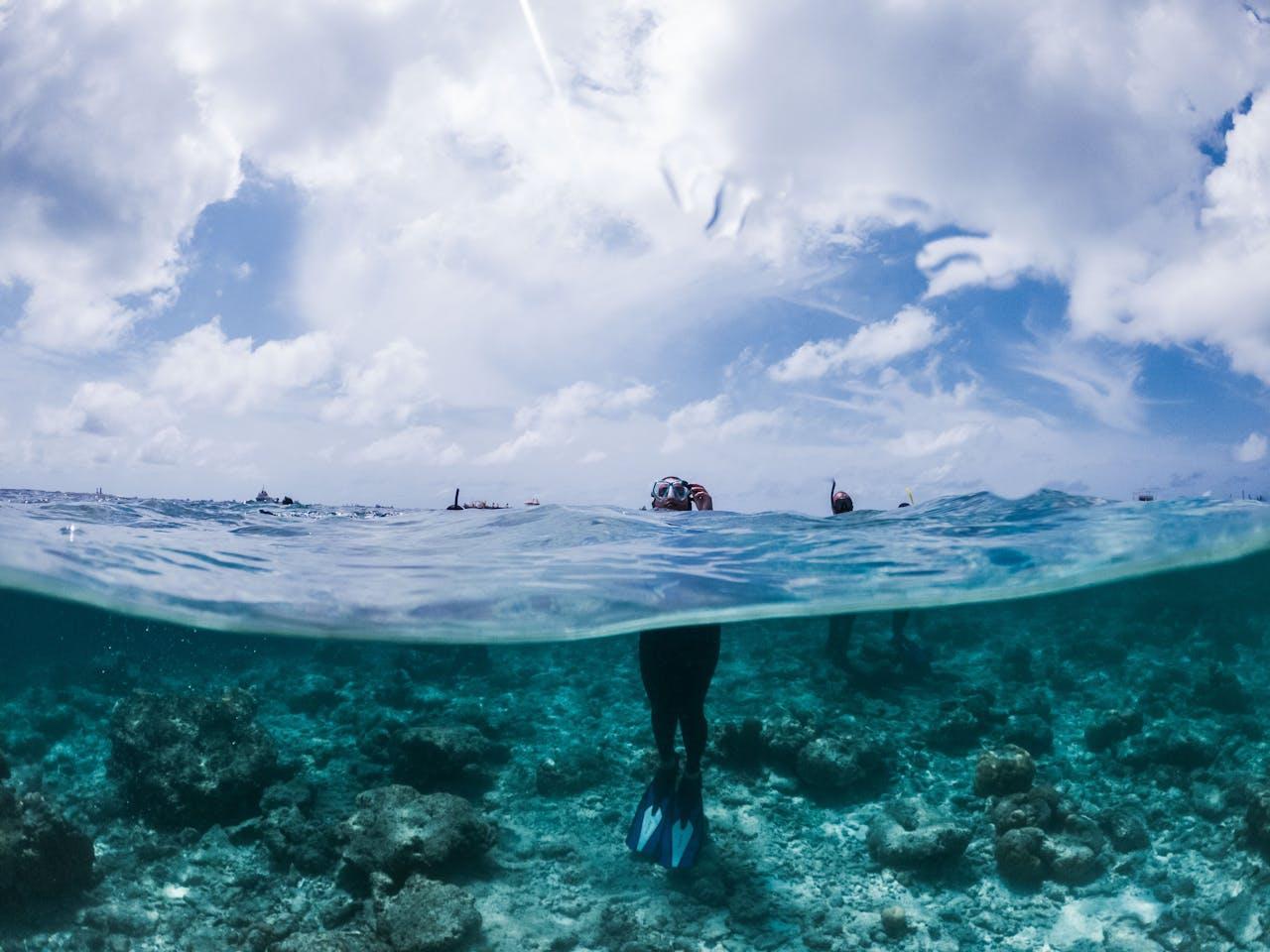 Snorkeler standing in warm blue seawater. 