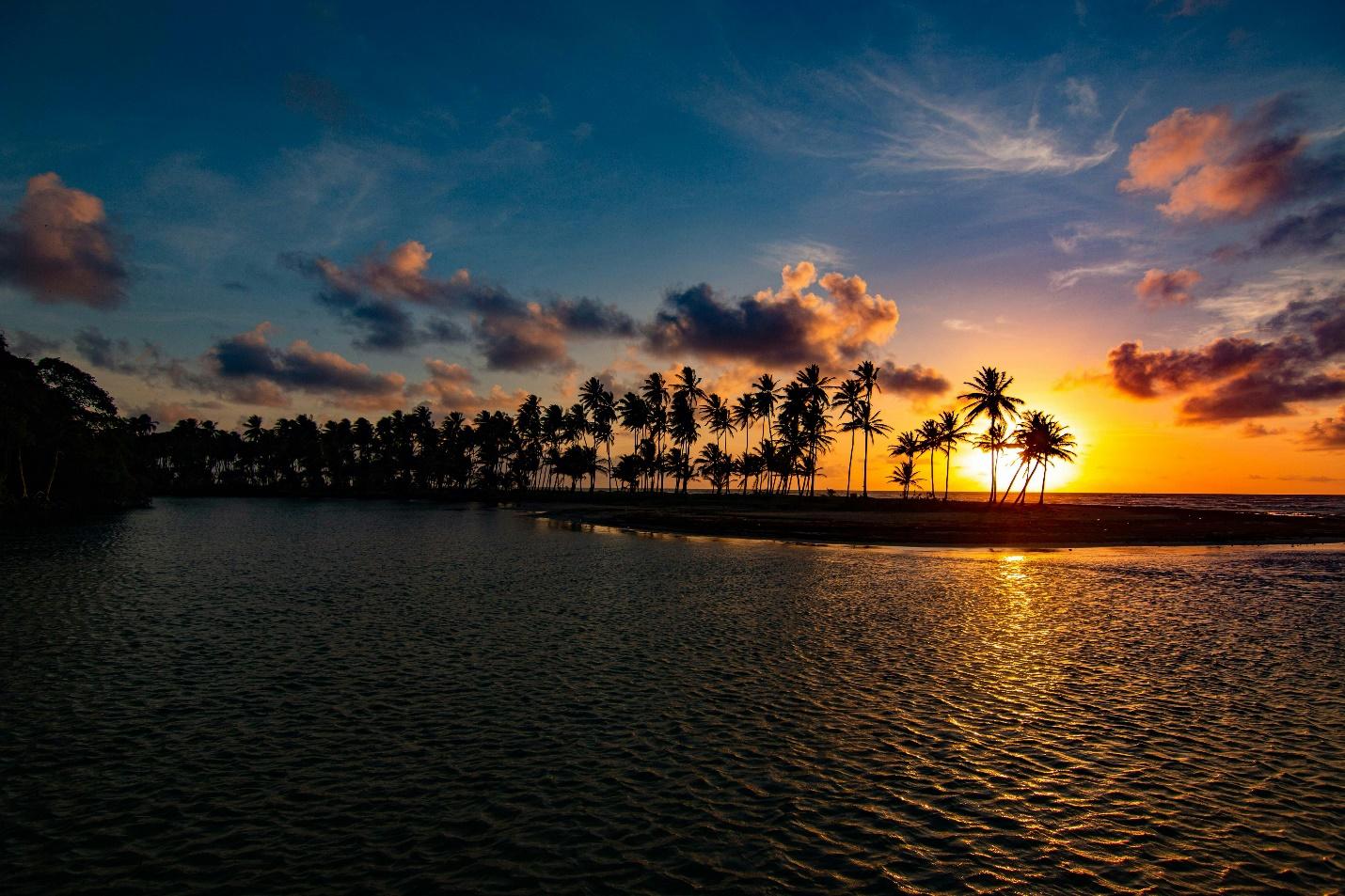 Sun setting or rising with palm tree silhouettes over Manzanilla Beach, Trinidad and Tobago 