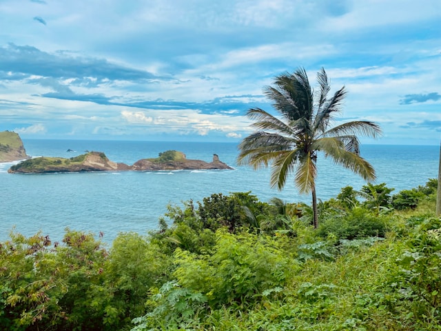 A view of the ocean and greenery at St. Lucia 