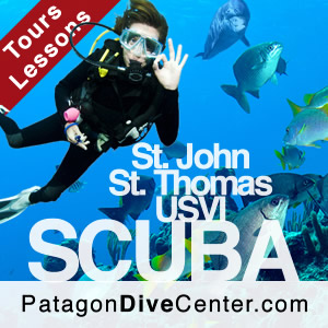 Scuba Diving St. Thomas St. John USVI Caribbean