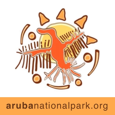 Aruba - Caribbean Island Network