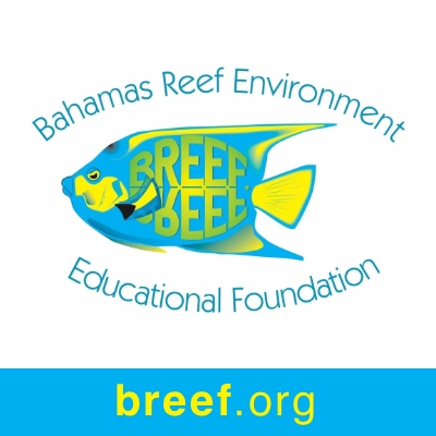 Bahamas Reef Environment Educational Foundation