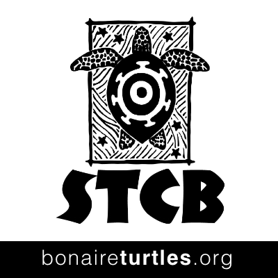 Sea Turtle Conservation in Bonaire