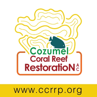 Cozumel Car Rentals