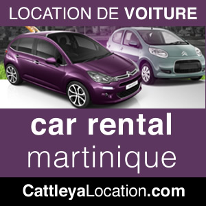 rent a car at Point du Bout in Martinique