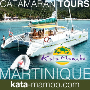 Catamaran Tours at Point du Bout in Martinique