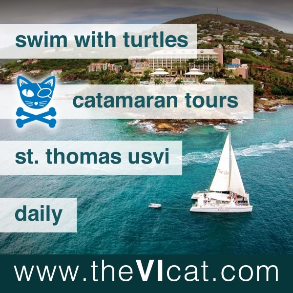 the vi cat catamaran sail snorkel st. thomas usvi caribbean