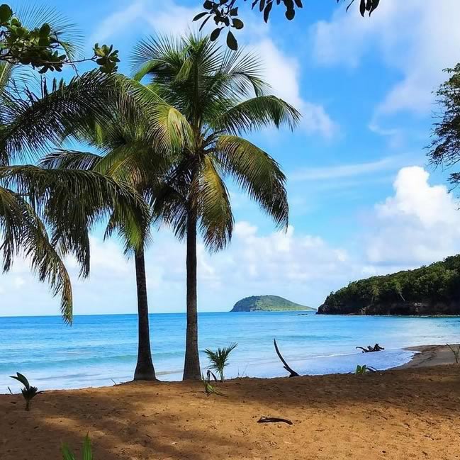 Guadeloupe Coolestcarib Caribbean Island Travel Guide